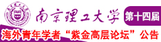 操日本老女人逼南京理工大学第十四届海外青年学者紫金论坛诚邀海内外英才！